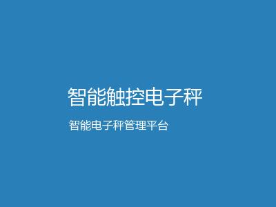智能触控电子秤 - X1